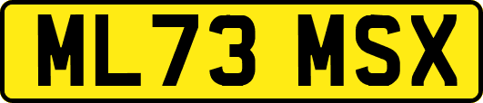 ML73MSX