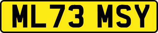 ML73MSY