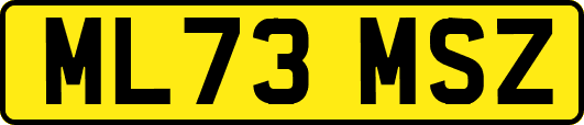 ML73MSZ
