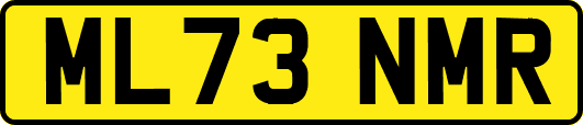 ML73NMR