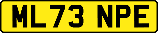 ML73NPE