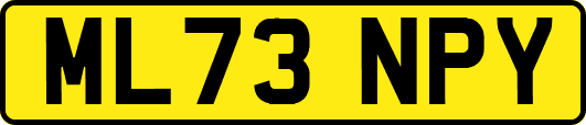 ML73NPY