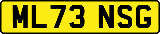 ML73NSG