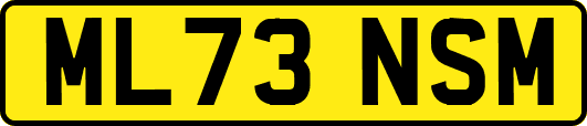 ML73NSM