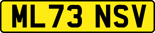 ML73NSV