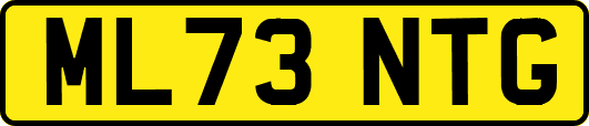 ML73NTG