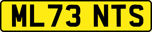 ML73NTS