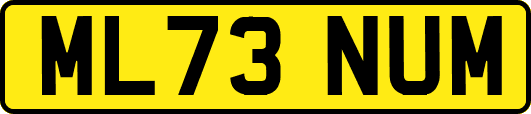 ML73NUM