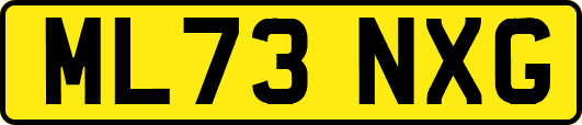 ML73NXG
