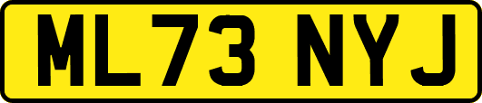 ML73NYJ