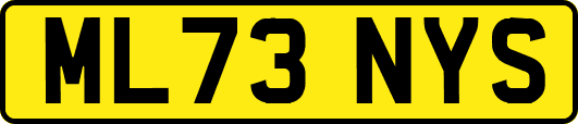 ML73NYS