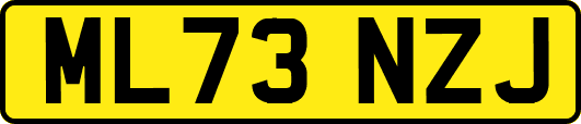 ML73NZJ