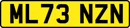 ML73NZN