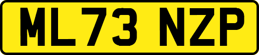 ML73NZP