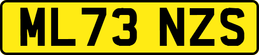ML73NZS
