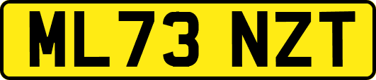 ML73NZT