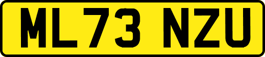 ML73NZU