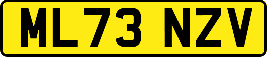 ML73NZV