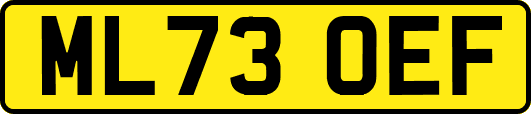 ML73OEF