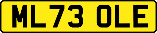 ML73OLE