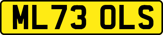 ML73OLS