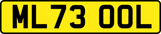 ML73OOL