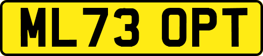 ML73OPT