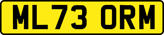 ML73ORM