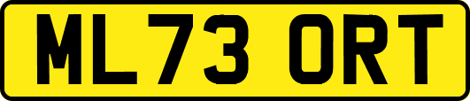ML73ORT