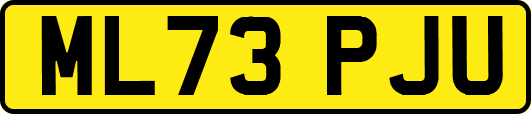 ML73PJU