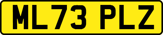 ML73PLZ