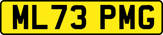 ML73PMG