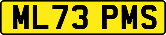 ML73PMS