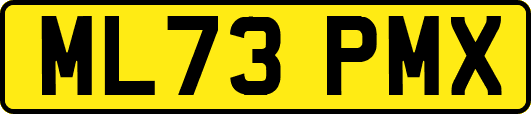 ML73PMX