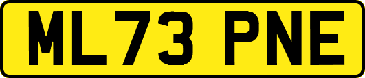 ML73PNE