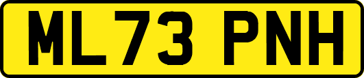 ML73PNH