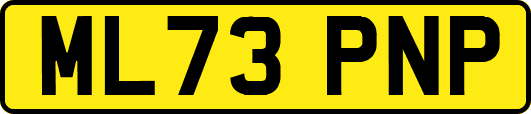 ML73PNP