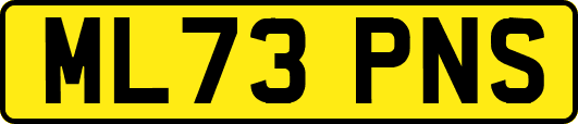 ML73PNS