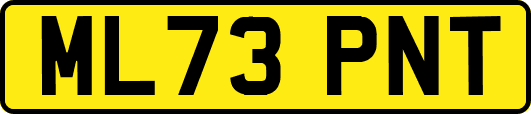 ML73PNT