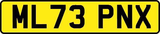 ML73PNX