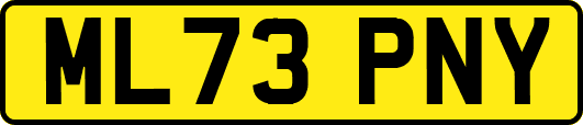 ML73PNY