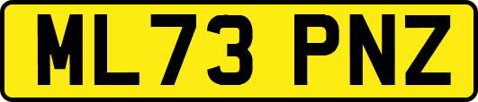 ML73PNZ