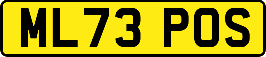ML73POS