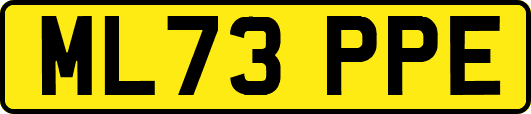 ML73PPE
