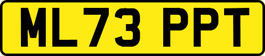 ML73PPT