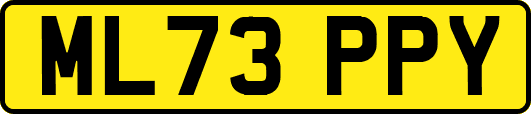 ML73PPY