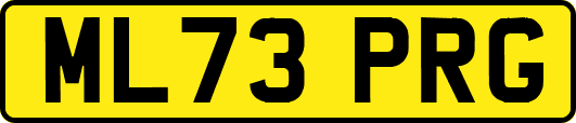 ML73PRG