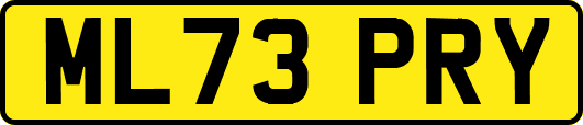 ML73PRY