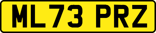 ML73PRZ