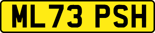 ML73PSH